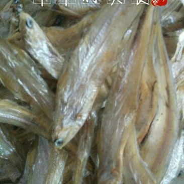 毛花鱼干