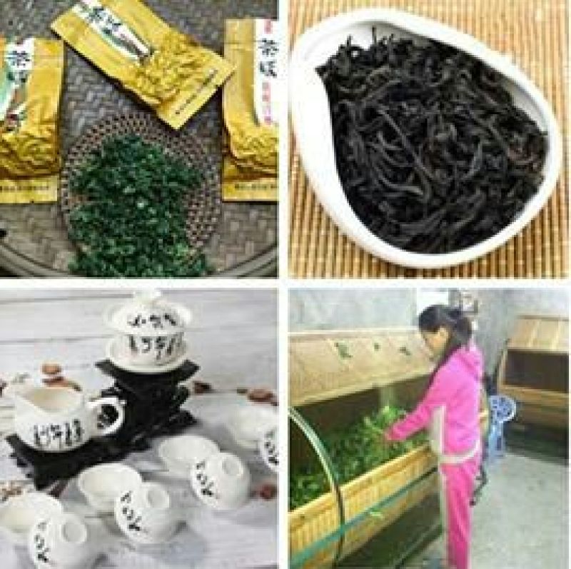 观音茶一级