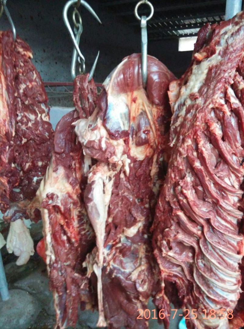 驴肉