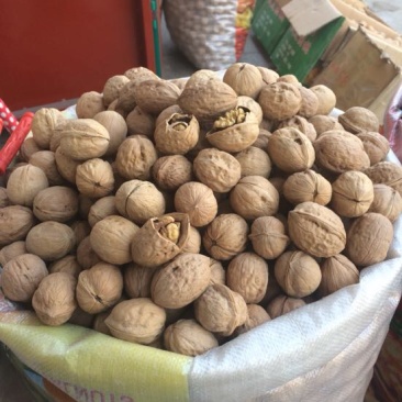 新疆核桃