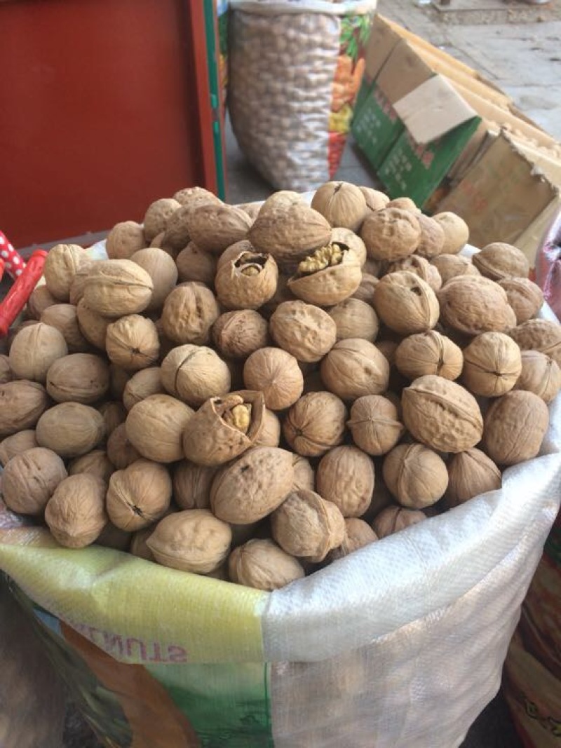新疆核桃