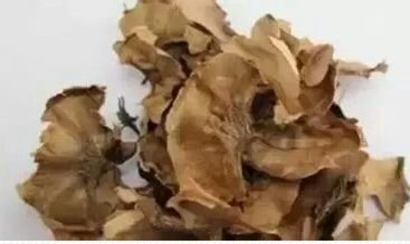 核桃去皮干
