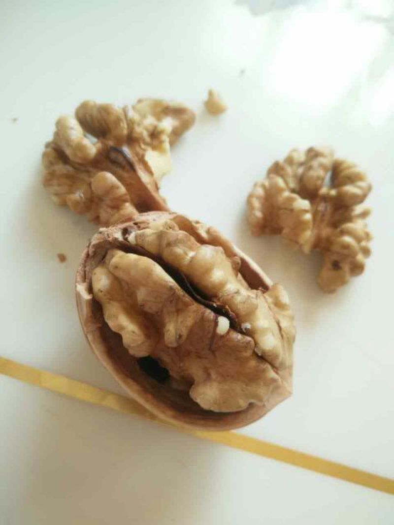 新新2号核桃去皮干