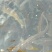 鲟鱼1~2斤/尾