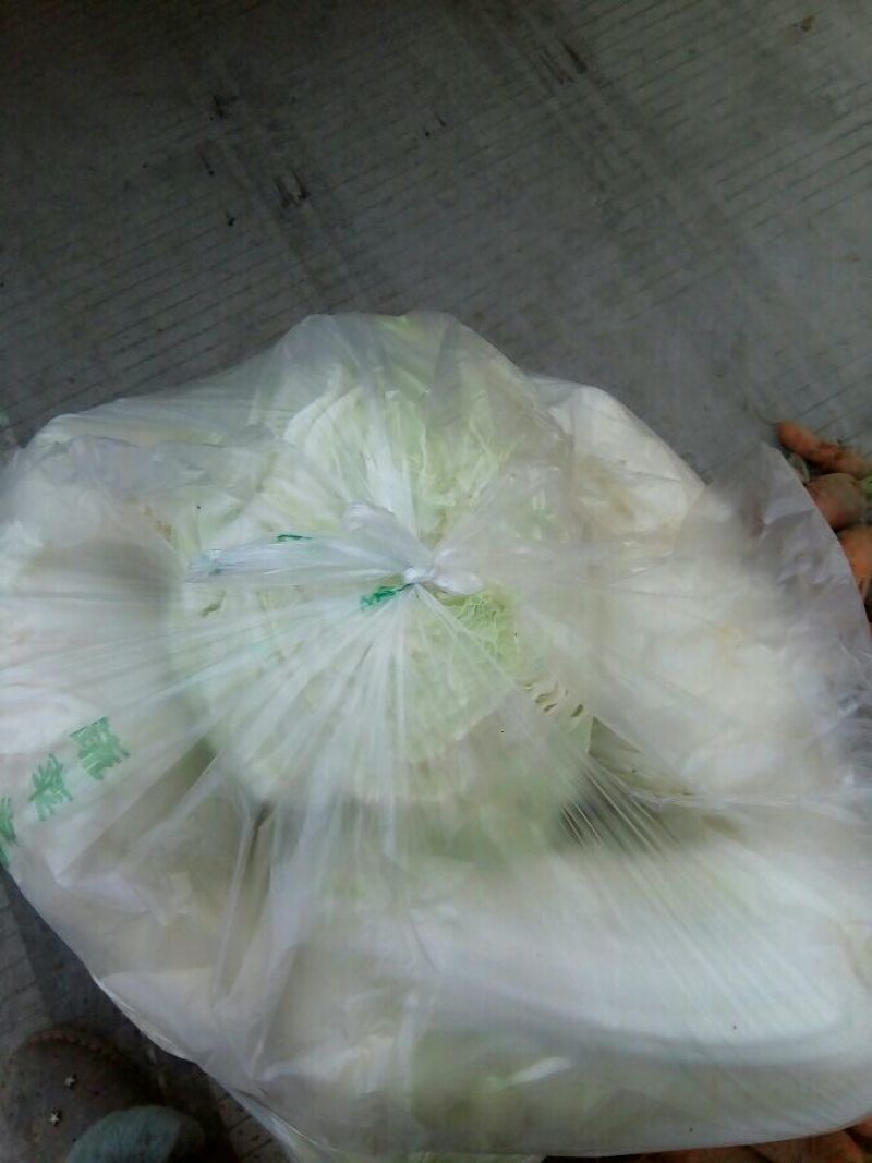 白萝卜3.5~4斤起