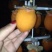柿饼