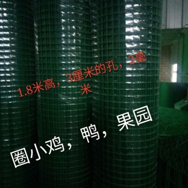 养鸡设备养鸡网