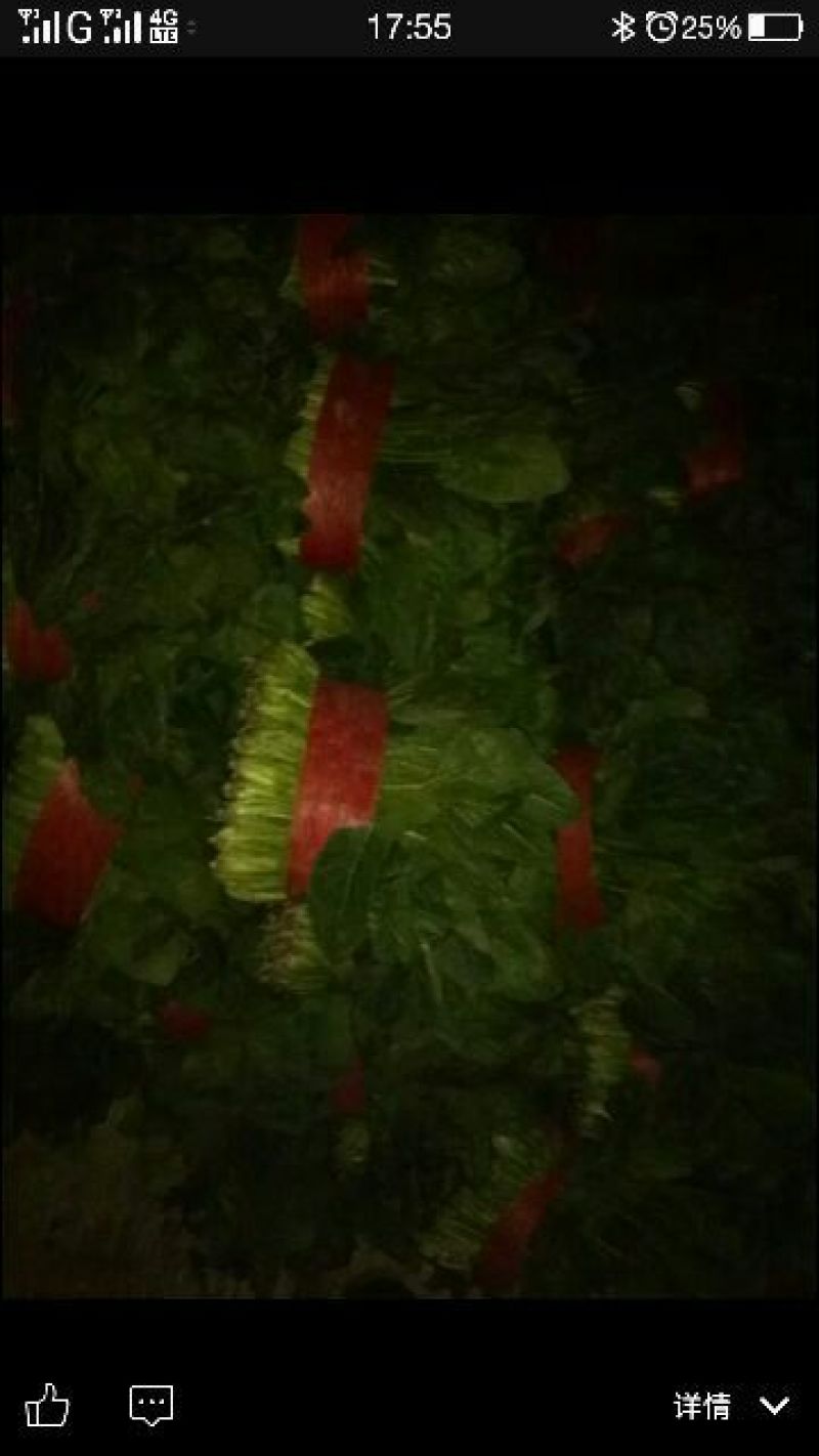 菠菜