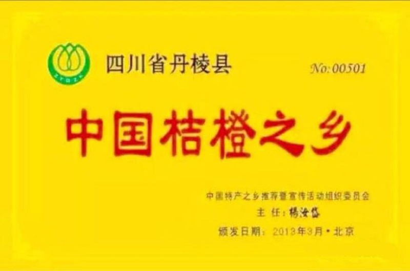 大雅柑1号柑桔苗两年苗