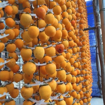柿饼1~2两