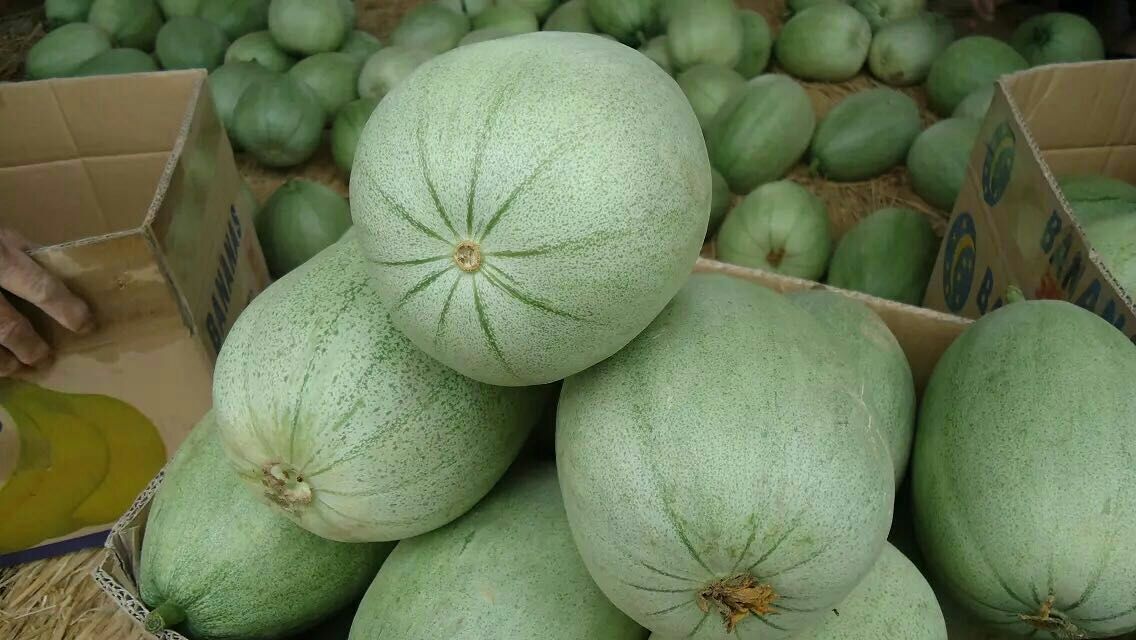 景甜甜瓜河南安阳内黄县_批发_供应-一亩田农
