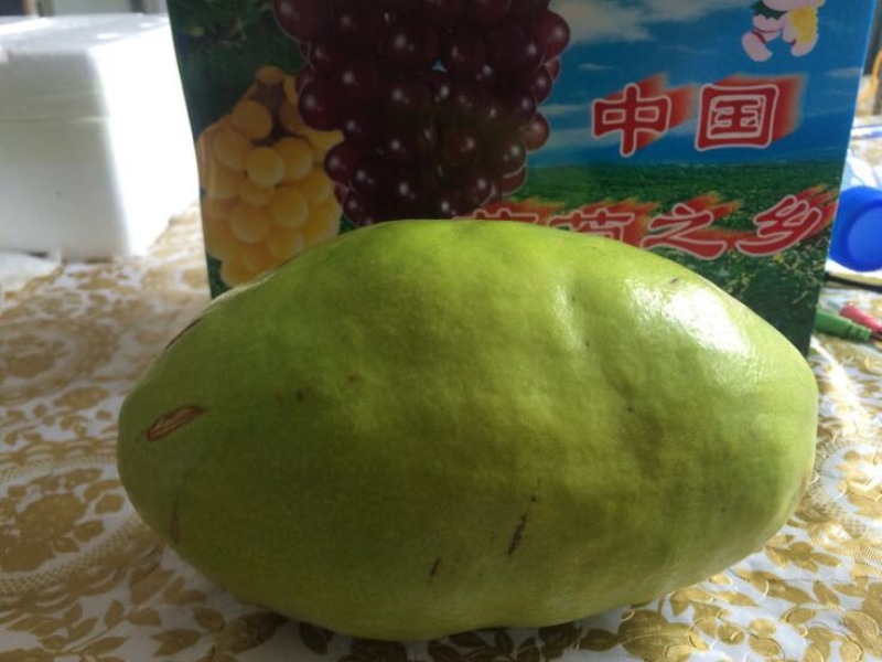 宣木瓜