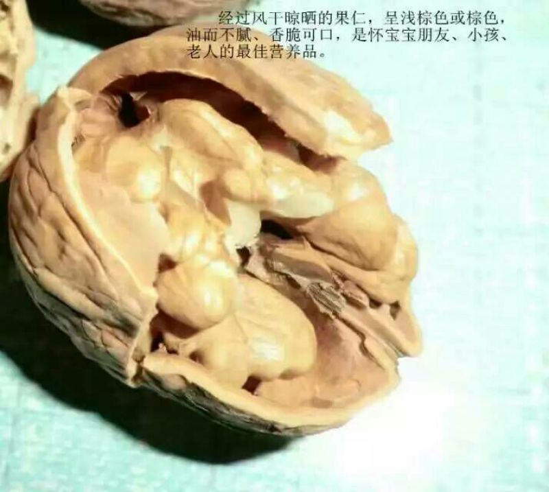 核桃去皮干