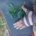 越冬菠菜