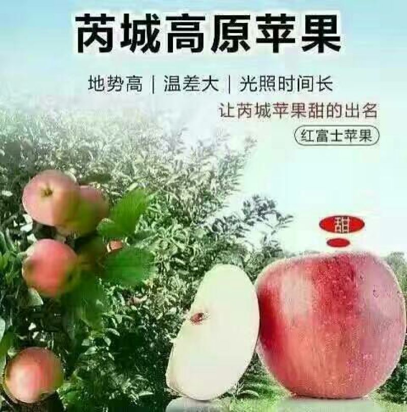 苹果70mm以上纸+膜袋