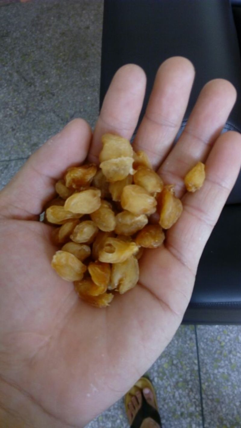 桂圆