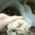 纸皮核桃去皮干