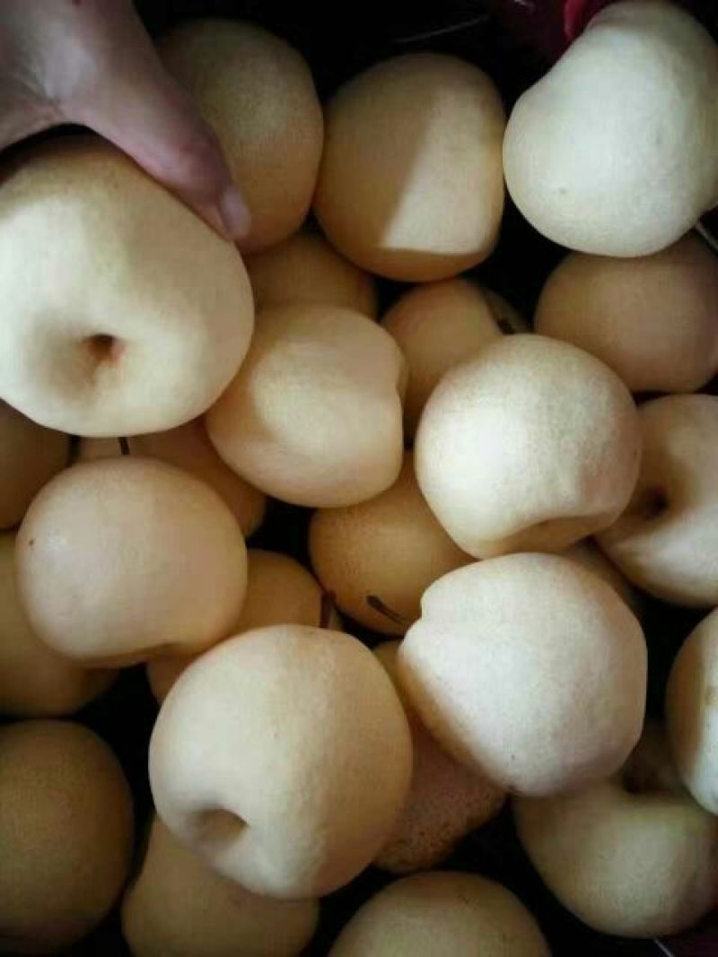 酥梨纸箱