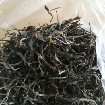 百年大树茶