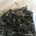 百年大树茶