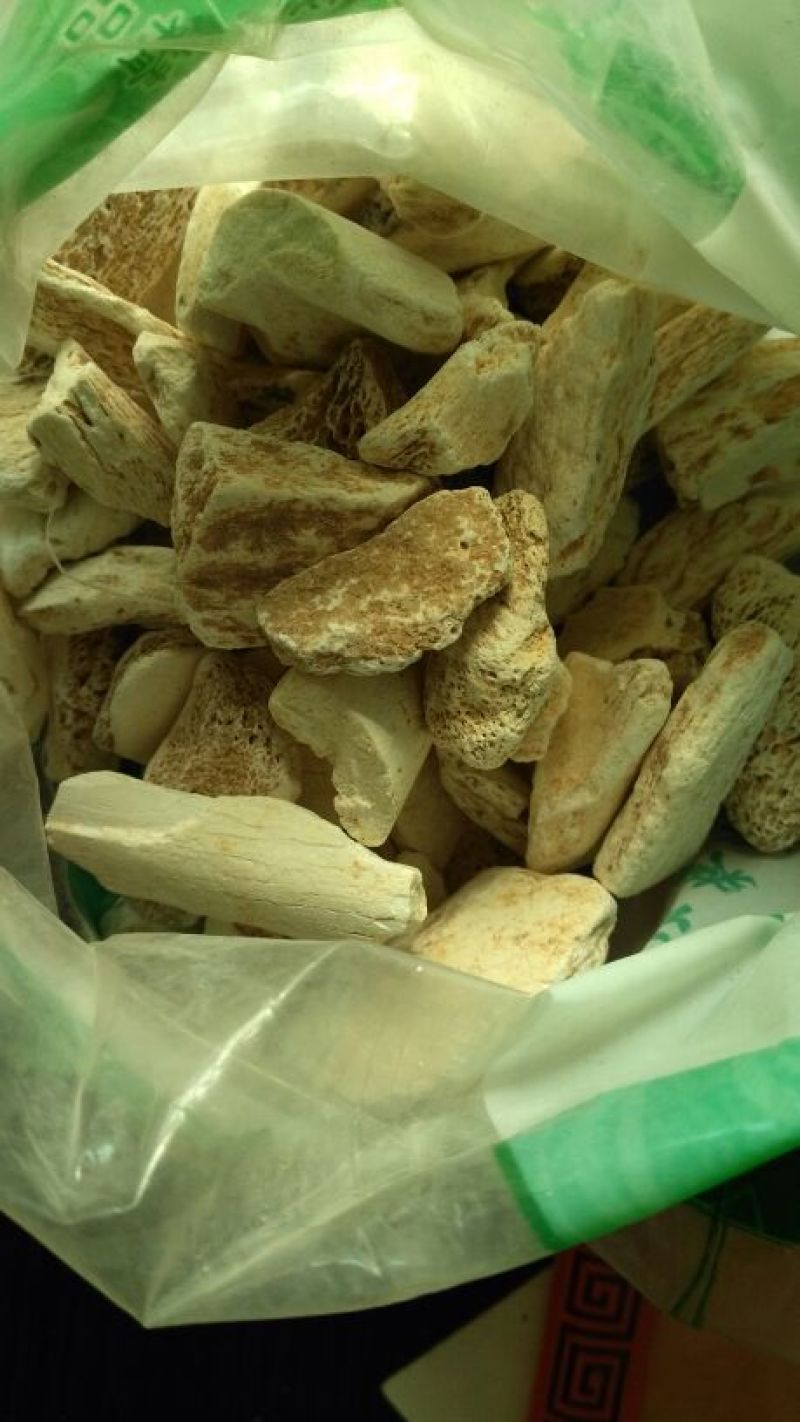 龙骨