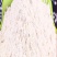 全麦粉