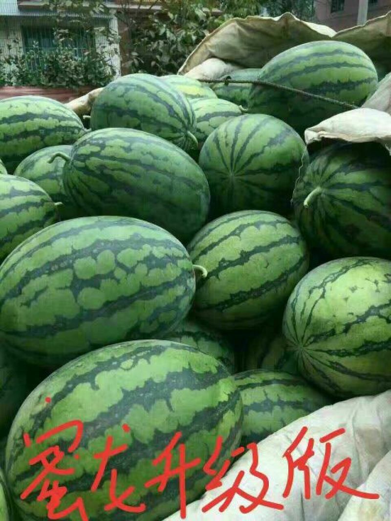 西瓜