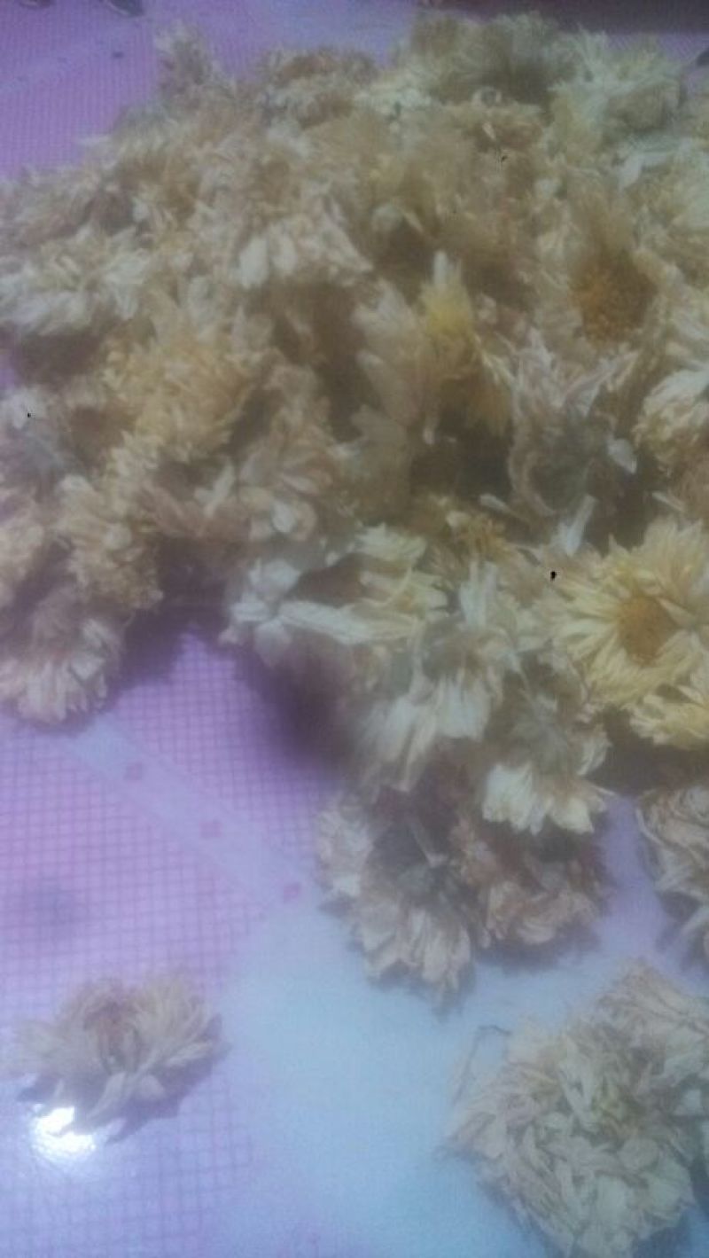菊花茶