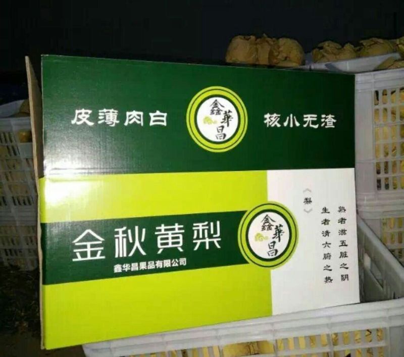 晚秋黄梨500~550g纸箱