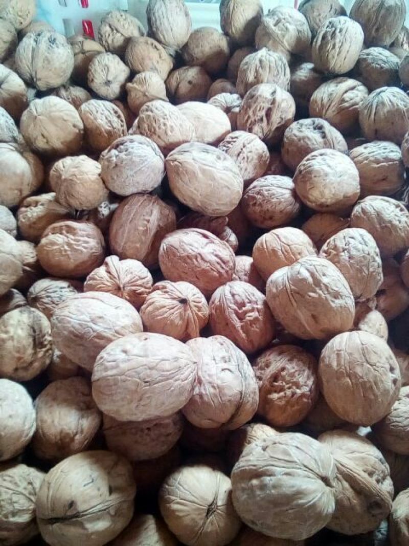 薄皮核桃30mm以上去皮