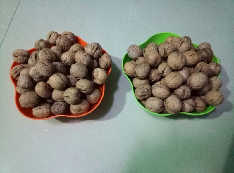 薄皮核桃30mm以上去皮干