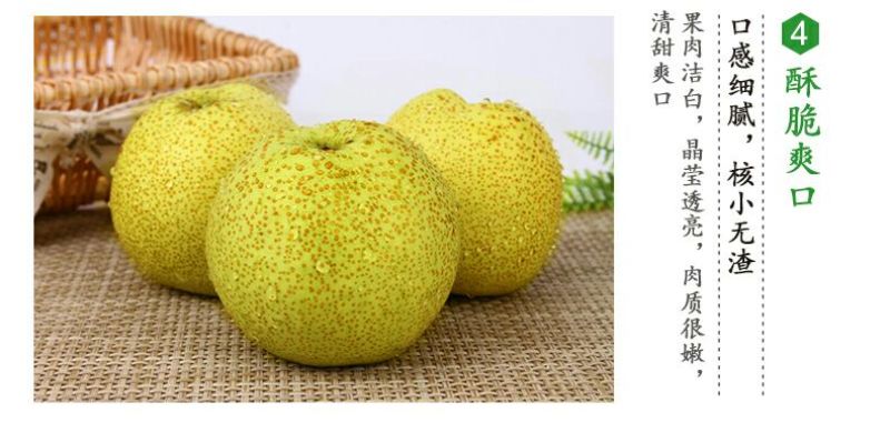 酥梨250~300g纸箱
