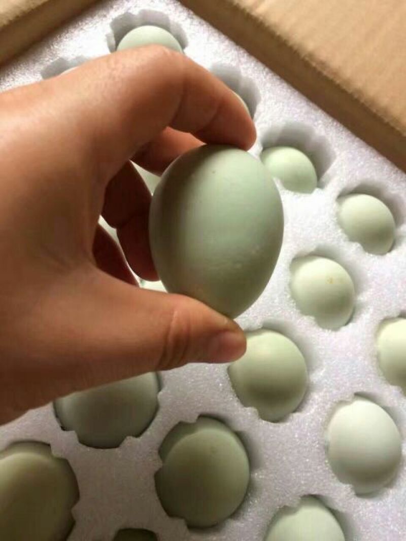 土鸡蛋食用50g以下