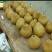 梨350~400g光果