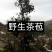 普洱茶