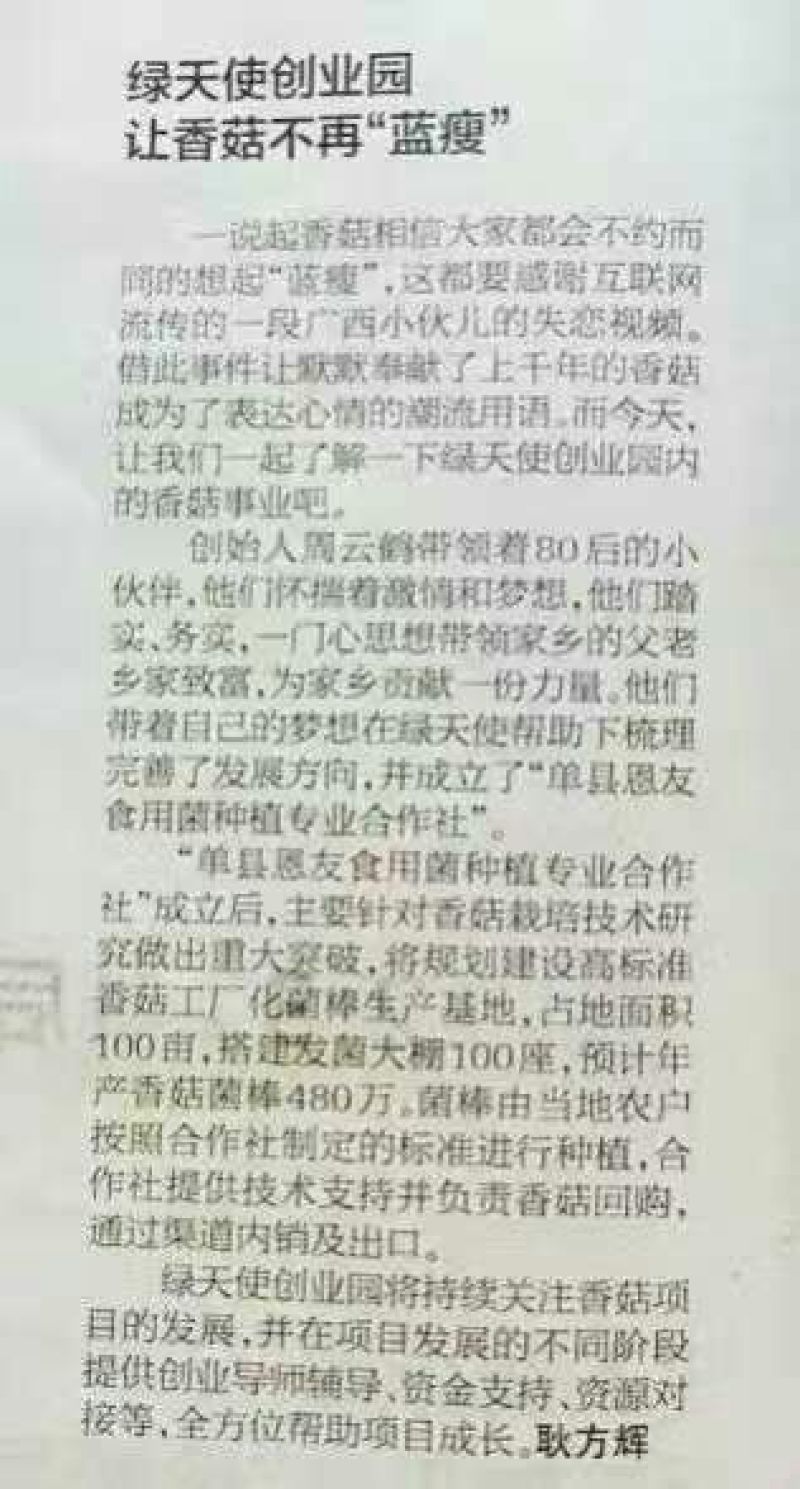 菌棒