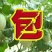 西州蜜瓜3斤以上椭圆形
