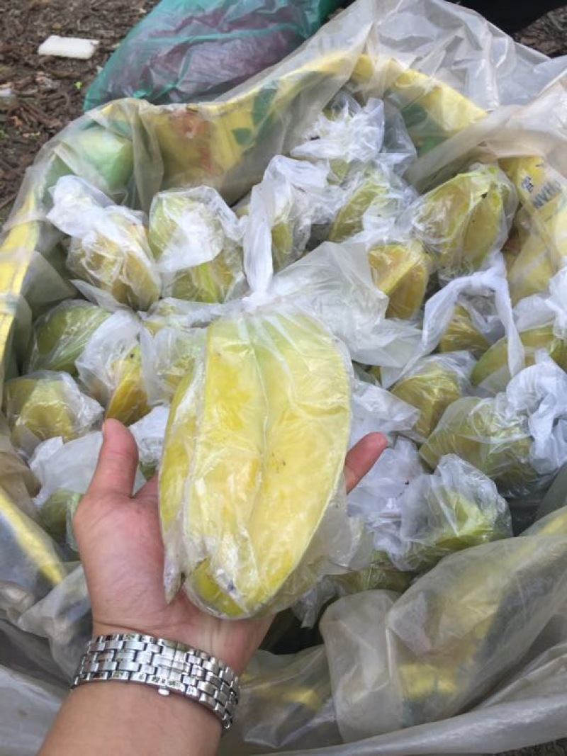 红杨桃