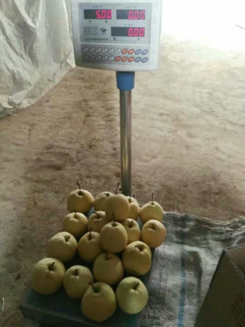 酥梨纸袋