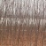 黄山栾树4~6cm4cm以下3~3.5米