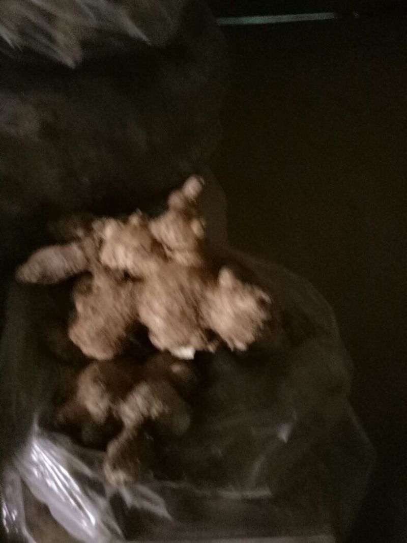 生姜，大黄姜，小姜山东生姜，生姜价格一手货源价优
