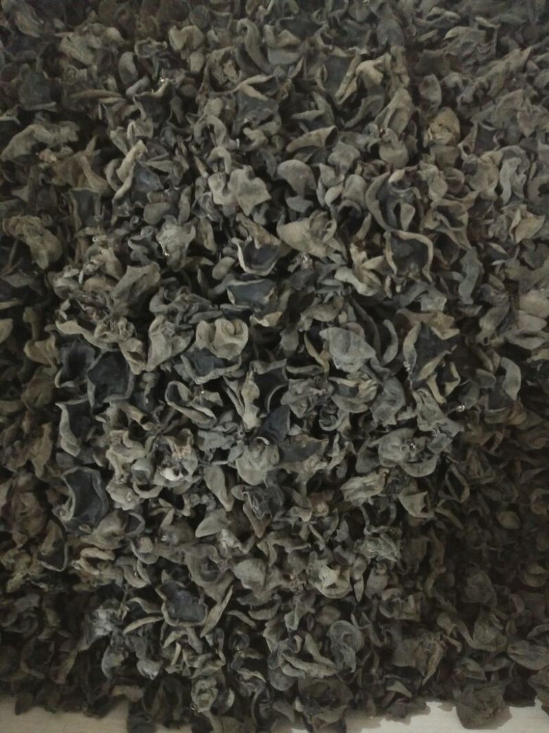 黑木耳一级