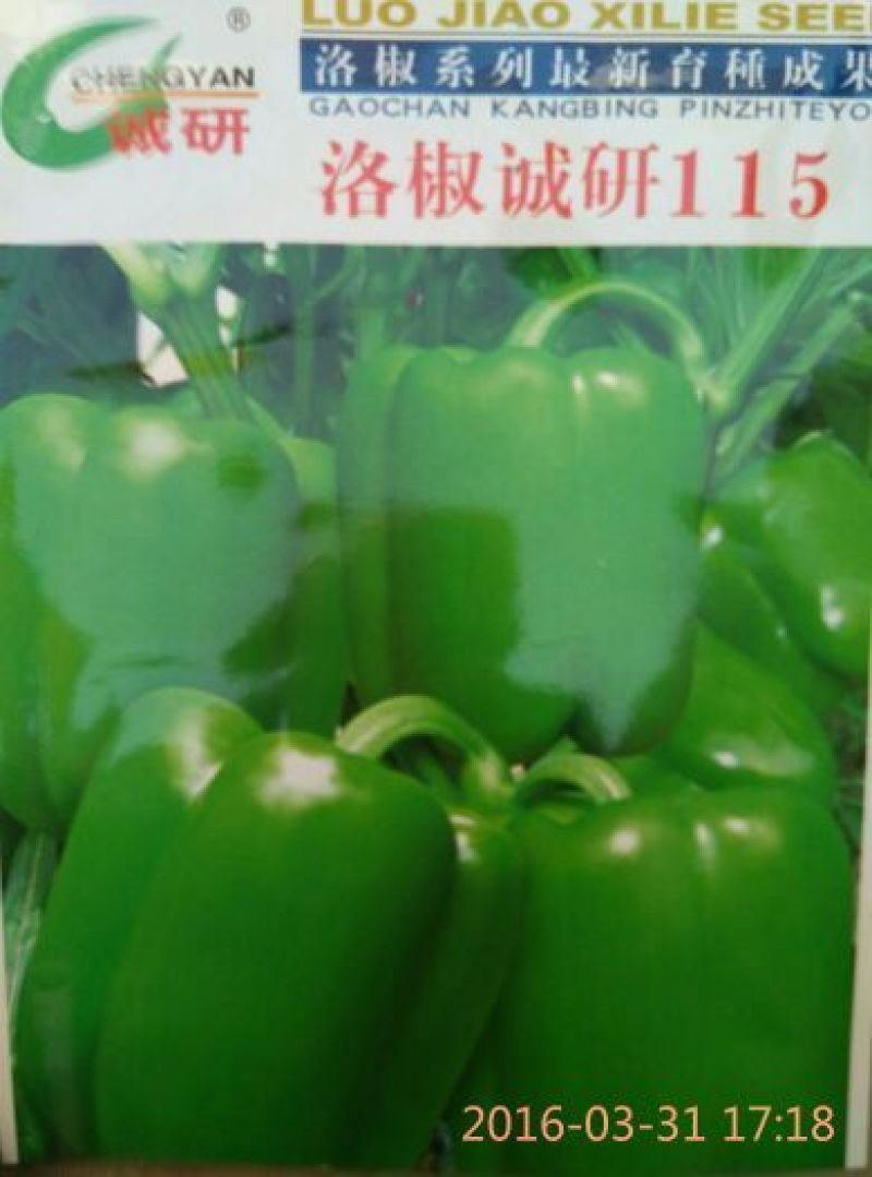 辣椒苗