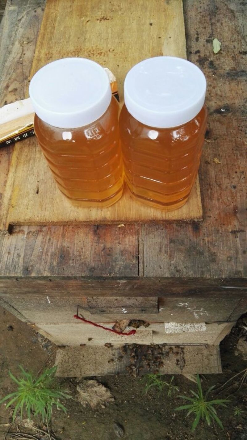 百花蜜荆条蜜