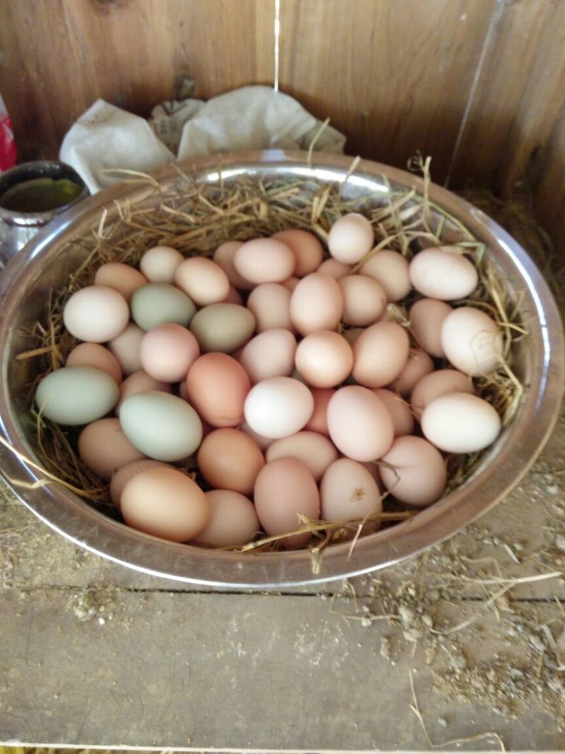 土鸡蛋食用50g以下