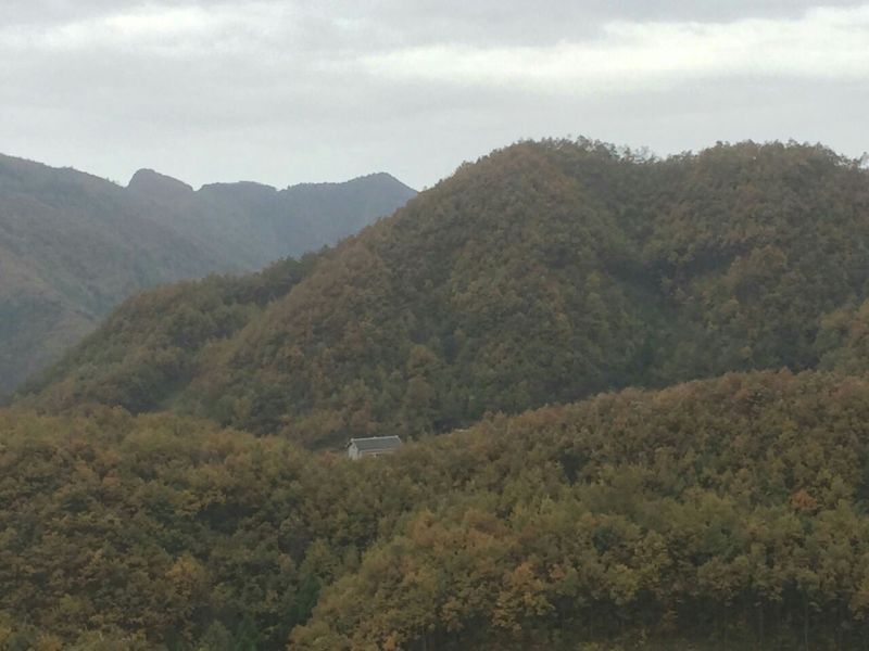 木耳二级