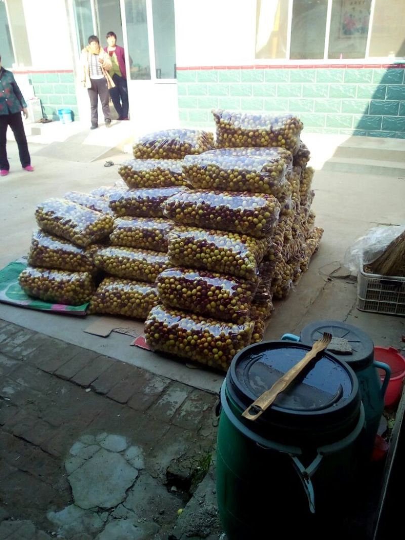 沾化冬枣拐三，电商对接一件代发，供应全国市场电商