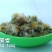 旋覆花