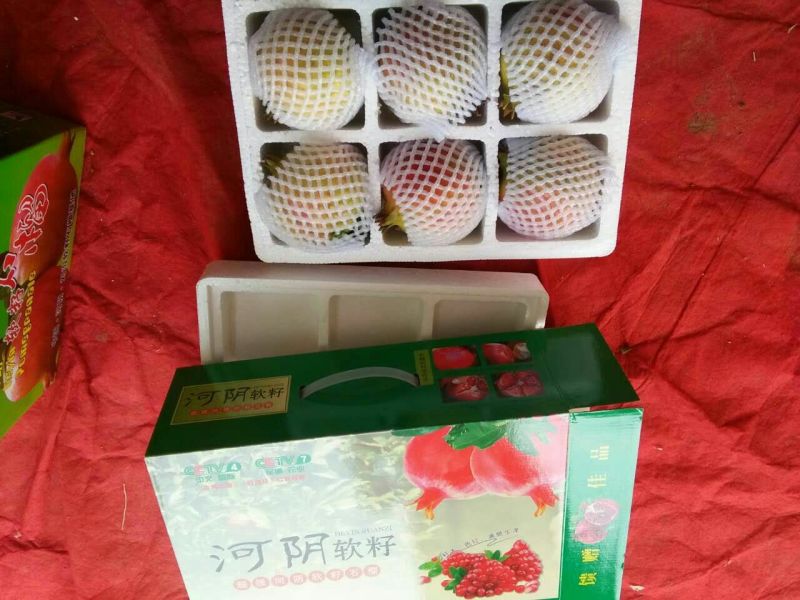 突尼斯软籽石榴8两~1斤.可一件代发