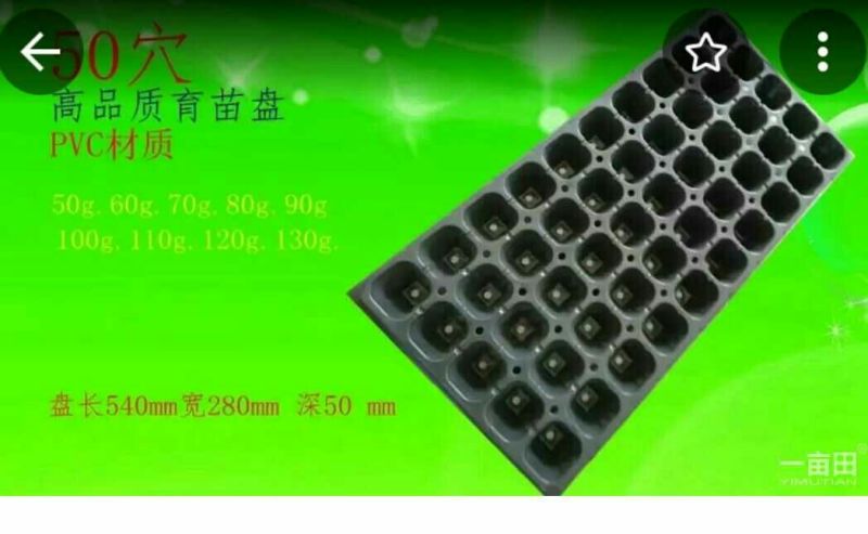 穴盘72孔